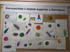 Пластилиновый мир вирусов и бактерий.